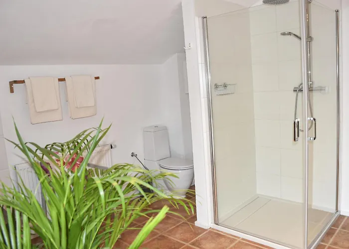 Auszeit ライト・バイ・ゼーフェルト